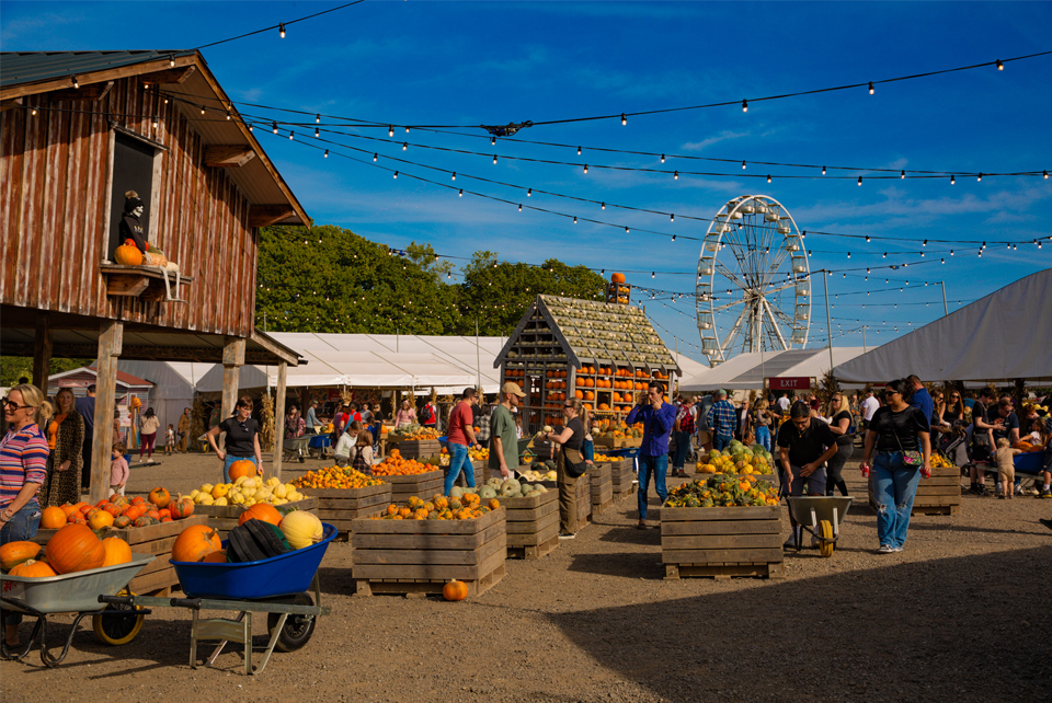 Tulleys Pumpkin Festival