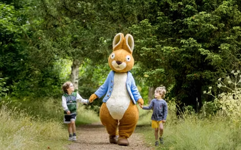 The Peter Rabbit Adventure