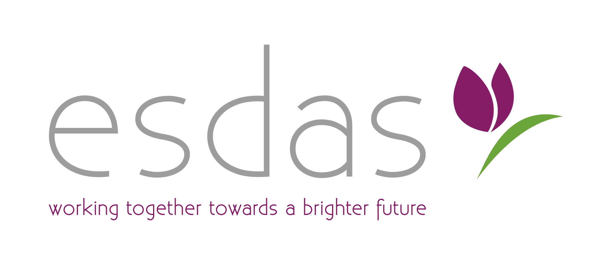 ESDAS colour logo