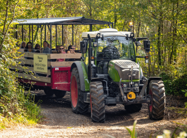 Priory Farm pumpkin picking, Autumn half term.